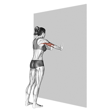 Demonstração animada da flexão de braços com pegada fechada na parede, da biblioteca do Trainer Gym AI
